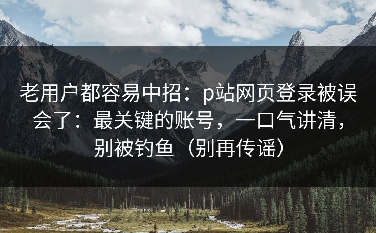 老用户都容易中招：p站网页登录被误会了：最关键的账号，一口气讲清，别被钓鱼（别再传谣）