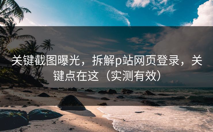 关键截图曝光，拆解p站网页登录，关键点在这（实测有效）