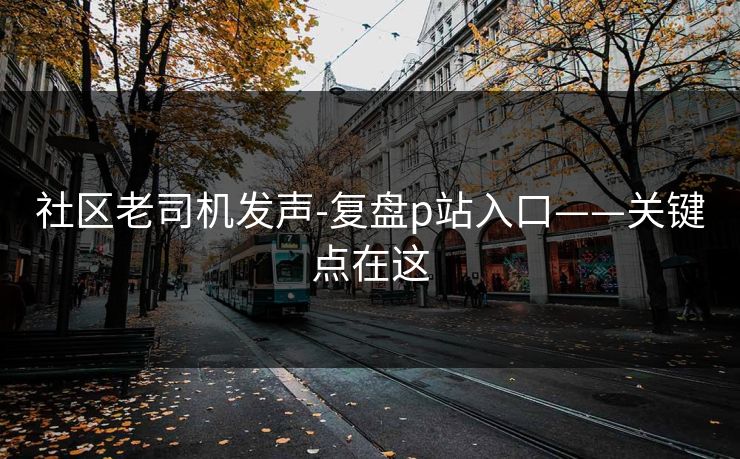 社区老司机发声-复盘p站入口——关键点在这