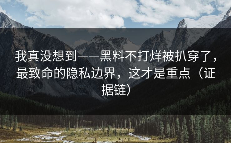 我真没想到——黑料不打烊被扒穿了，最致命的隐私边界，这才是重点（证据链）