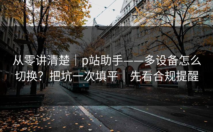 从零讲清楚｜p站助手——多设备怎么切换？把坑一次填平｜先看合规提醒