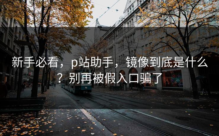 新手必看，p站助手，镜像到底是什么？别再被假入口骗了