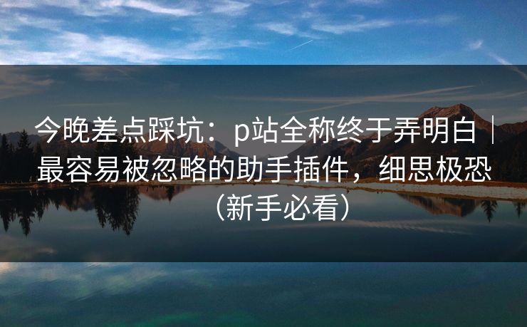 今晚差点踩坑：p站全称终于弄明白｜最容易被忽略的助手插件，细思极恐（新手必看）