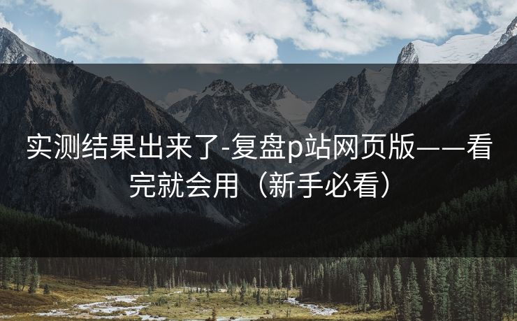 实测结果出来了-复盘p站网页版——看完就会用（新手必看）
