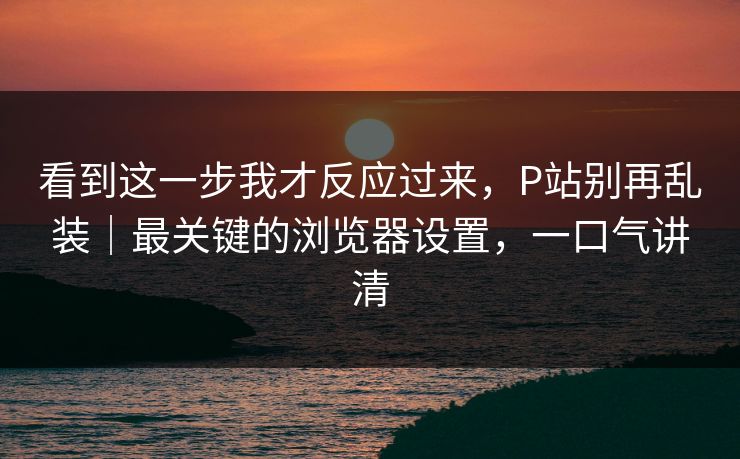 看到这一步我才反应过来,P站别再乱装|最关键的浏览器设置,一口气讲清 看到这一步我才反应过来,P站别再乱装|最关键的浏览器设置,一口气讲清