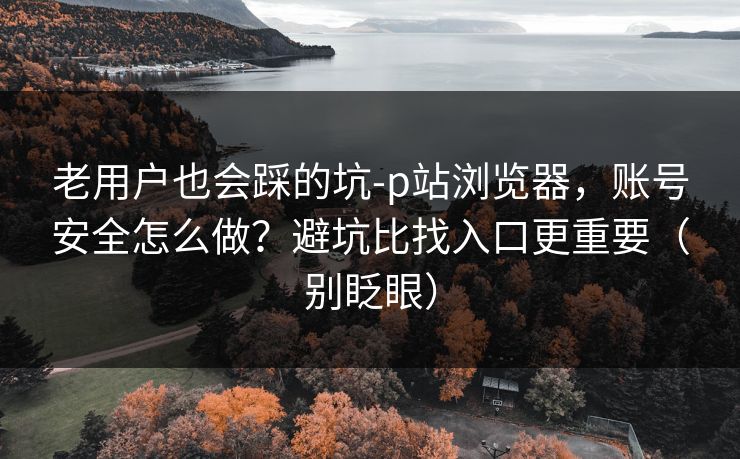 老用户也会踩的坑-p站浏览器，账号安全怎么做？避坑比找入口更重要（别眨眼）