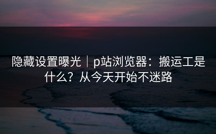 隐藏设置曝光|p站浏览器:搬运工是什么?从今天开始不迷路 隐藏设置曝光|p站浏览器:搬运工是什么?从今天开始不迷路