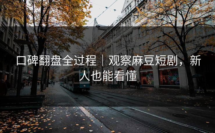 口碑翻盘全过程|观察麻豆短剧,新人也能看懂 口碑翻盘全过程|观察麻豆短剧,新人也能看懂